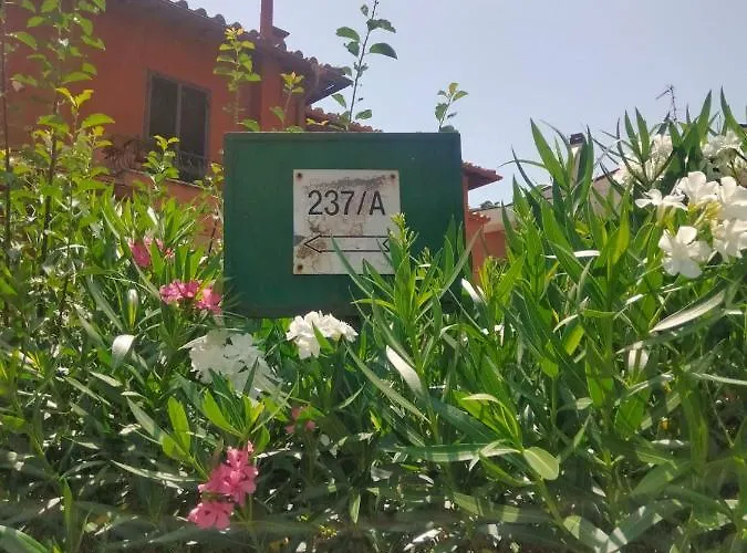 R&d Golden House ローマ